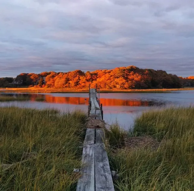 Steps away from Craigville Beach. Riverfront! Your own private bird sanctuary! - Image 1