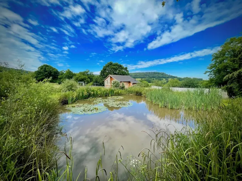 Blackdown Views - New 6 Bedroom Eco House - Image 1