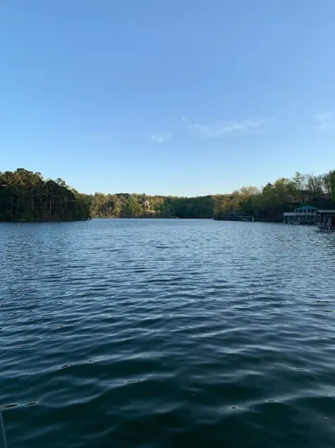 Smith Lake House, Snowbird House, holds 16, Dock & Boat Slip, Cullman County - Image 1