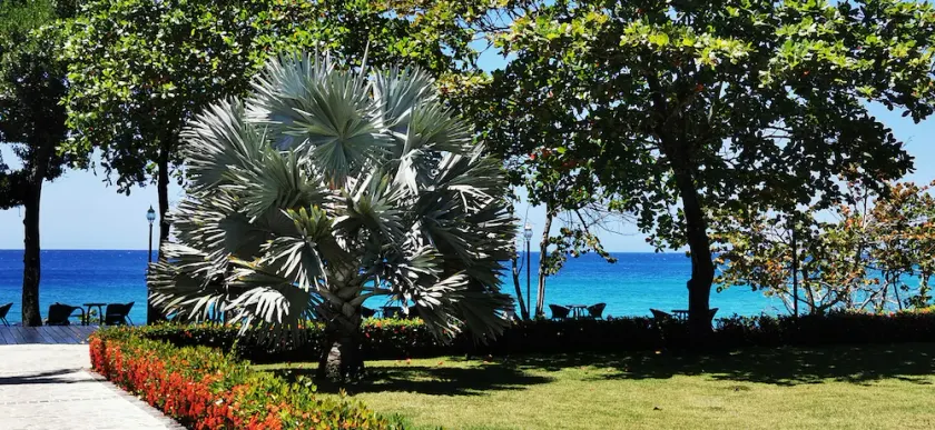 Breathtaking Beachfront Condo with Ocean Views • Free Weekly Maid Service - Image 1