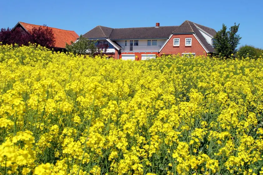 Ostseeurlaub für Zwei - Image 1