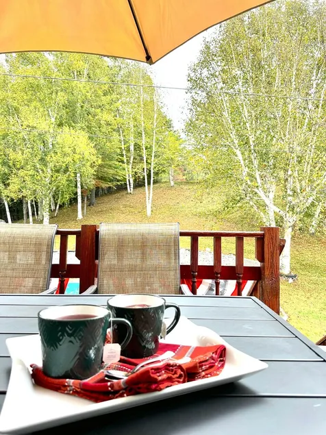Superb Lodge w Heated Pool, Large Hot Tub, Game Room, 15mins to Gore Mountain! - Image 1