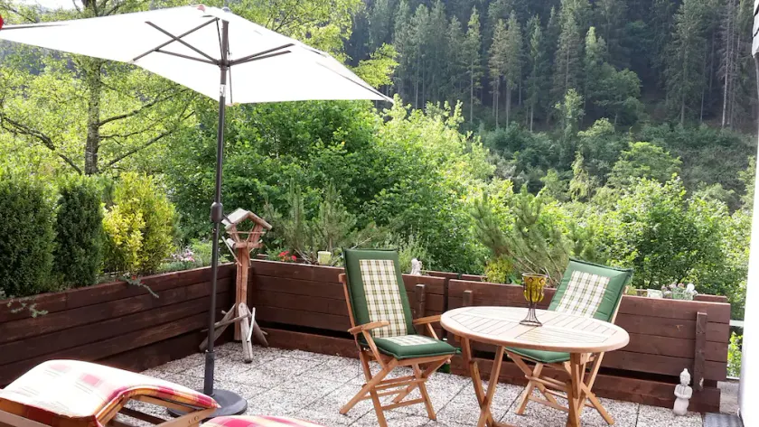 *** Appartamento a stella, grande terrazza sul versante sud con vista panoramica vicino al Rursee - Image 1