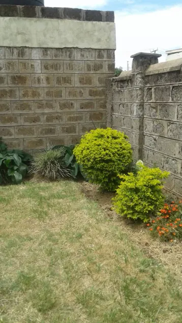 Maria's House - Image 1