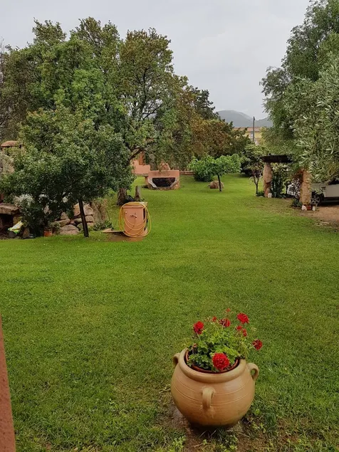 \"Villetta Corbezzolo\" immersa nel verde di un Parco - Image 1