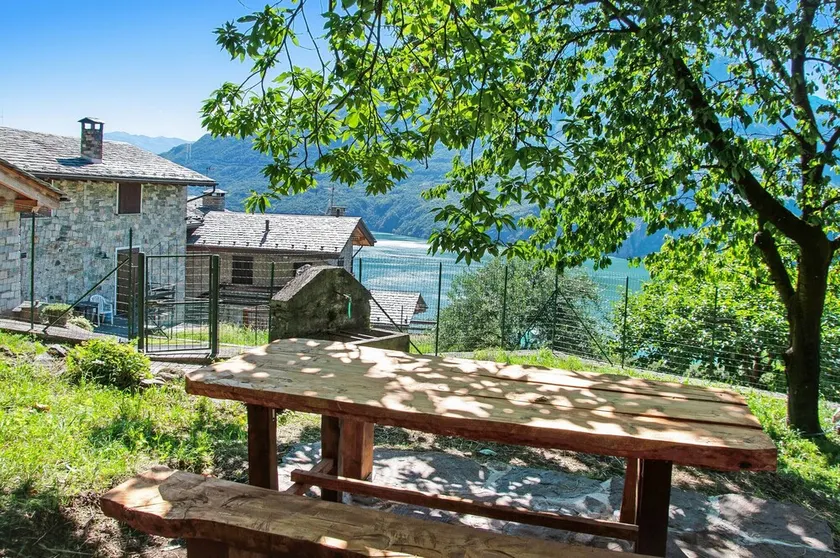 Il ciliegio sul lago - Image 1