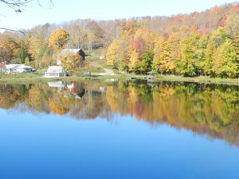 RESERVE SU FIN DE SEMANA DE OTOÑO AHORA!  2 granjas, lago de 9 acres, 52 acres, capacidad para 20 - Image 1