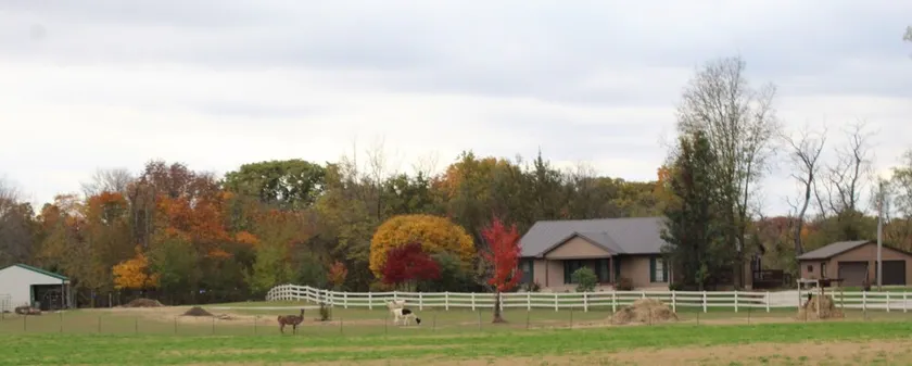 MAISON DE CAMPAGNE ENTIÈREMENT RÉNOVÉE AVEC DES LLAMAS JUSTE À L'EXTÉRIEUR DES FENÊTRES! - Image 1