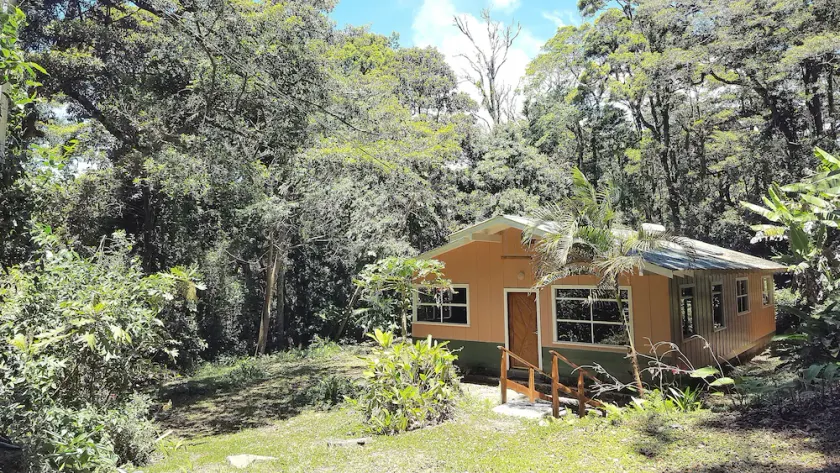 Jardín del Bosque Para Disfrutar la Naturaleza - Image 1