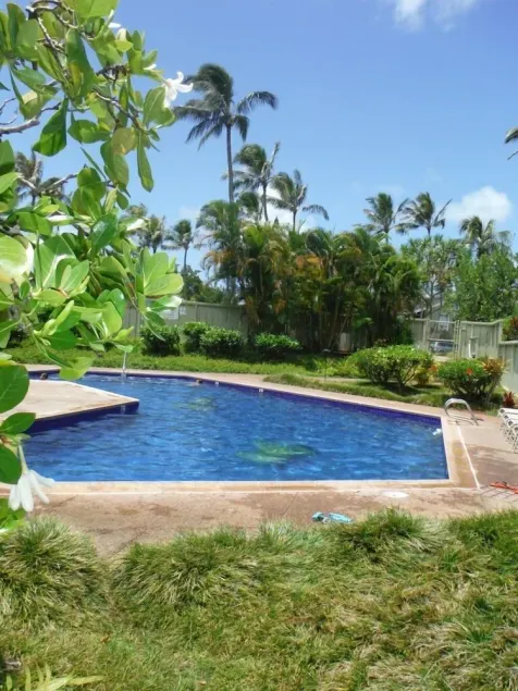 North Shore Turtle Bay Condo! Détendez-vous et profitez de tous les Côte-Nord a à offrir! - Image 1