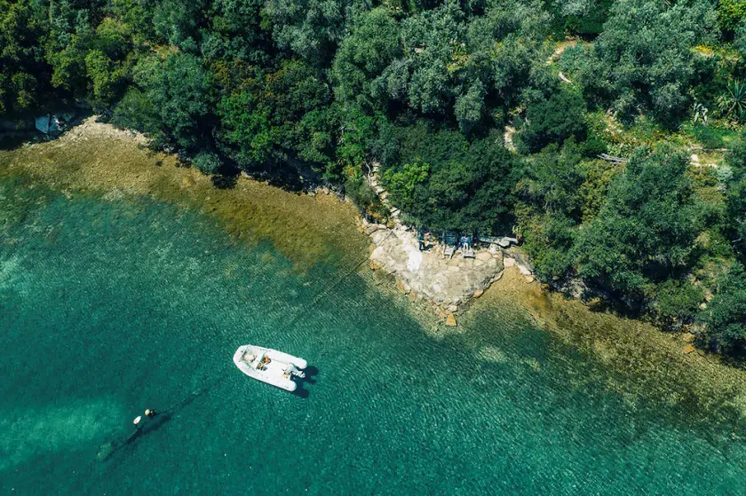 Happinest Treehouse - A magical cabin by the sea with amazing views. - Image 1