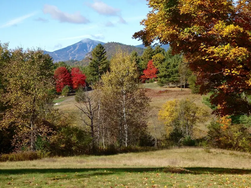 Afsondret sommerhus med fantastisk udsigt over Whiteface Mountain og High Peaks! - Image 1