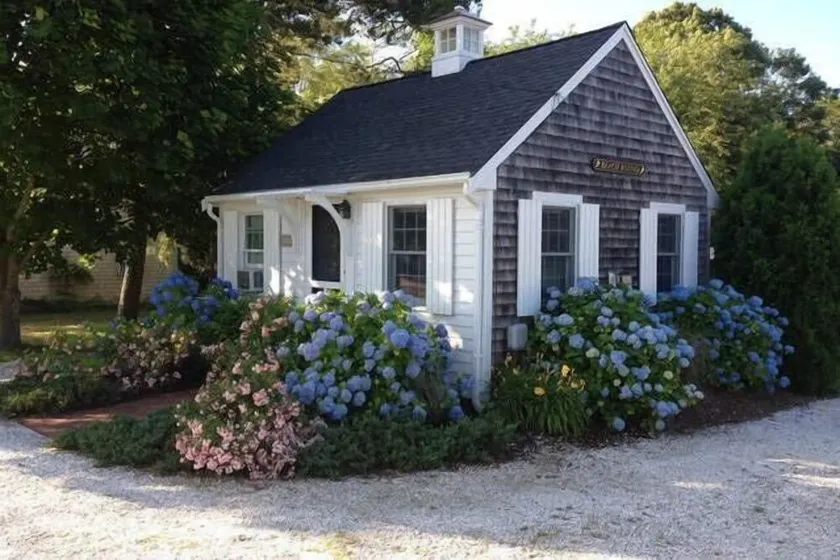 Convenient to all amenities and beaches in Chatham - Image 1