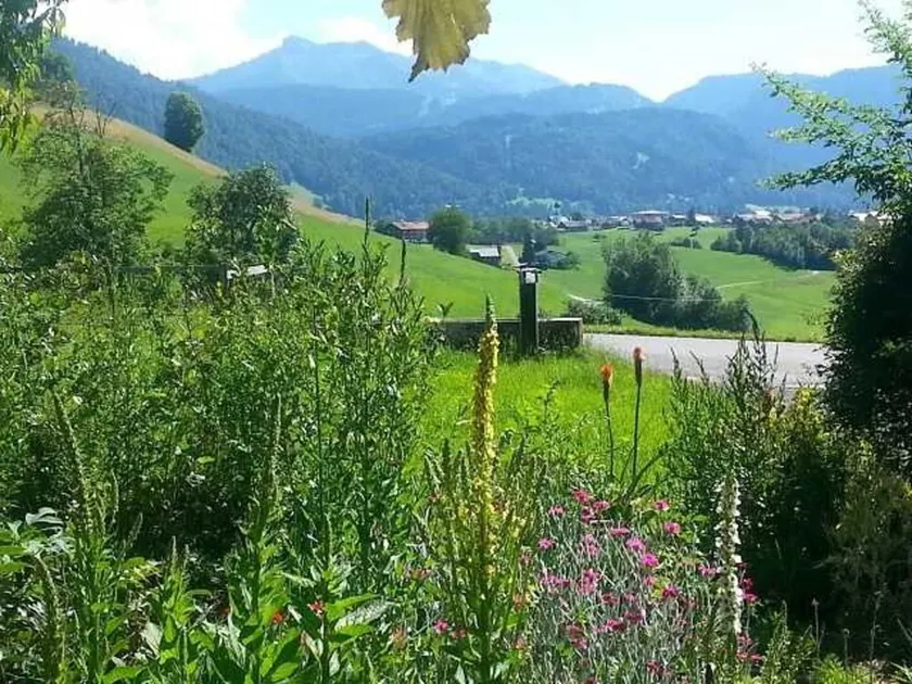 Ferienwohnung Geser - Holiday flat/apartment - Image 1