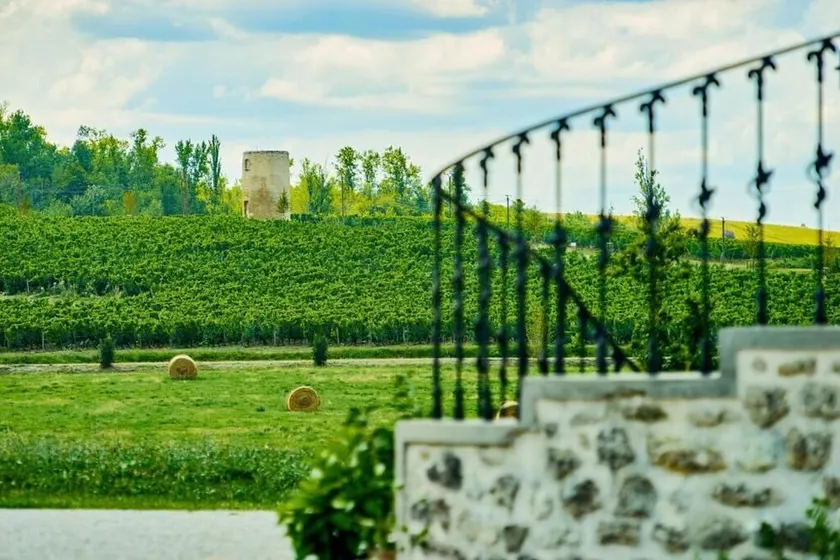 Fantastic Petit Beauval - Image 1