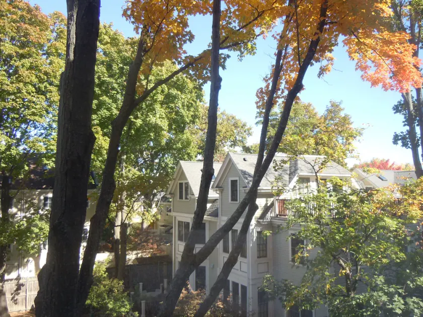 Harvard Square! - Image 1