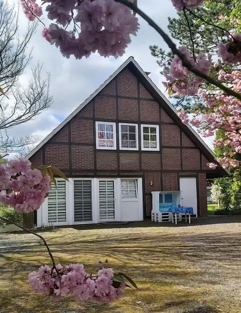 Appartement Jork Altes Land bei Hamburg direkt an der Elbe - Image 1