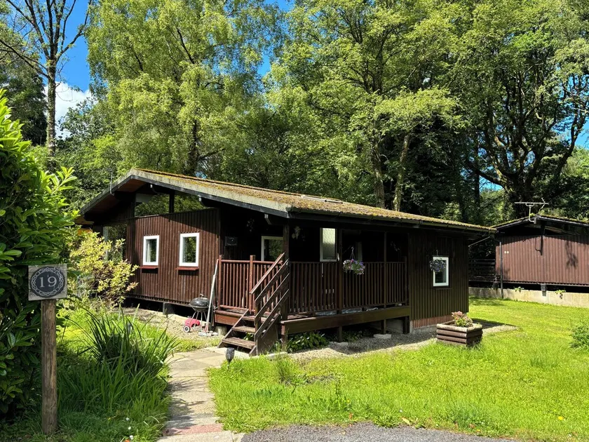 Caban Coetir - Spacious lodge in stunning woodland location 🐾✅ - Image 1