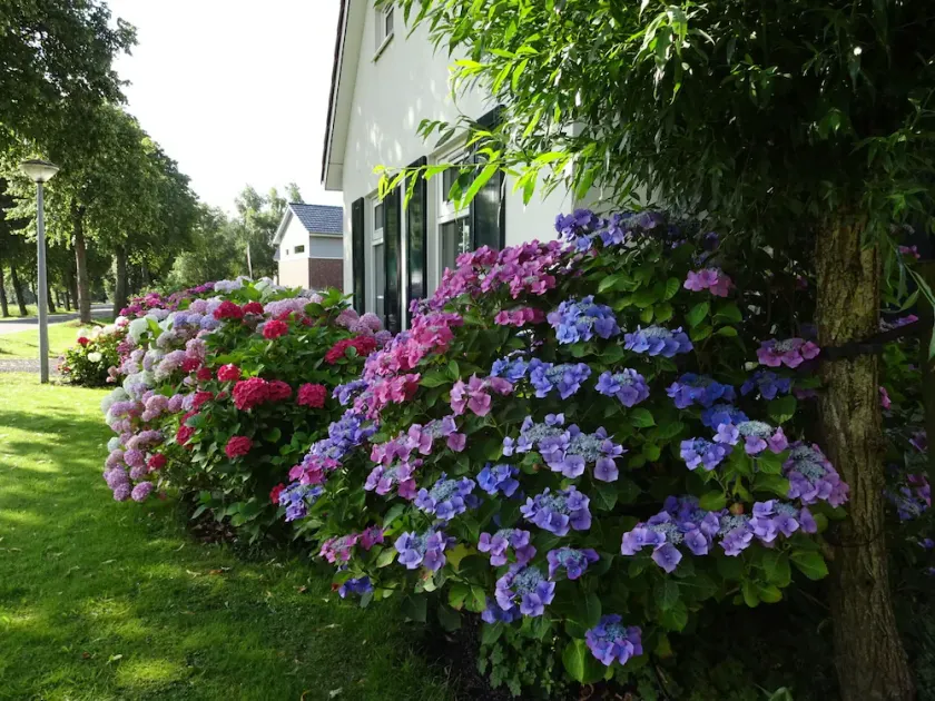 Holiday Home in Steendam by Schild Lake - Image 1
