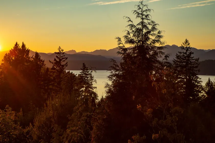 Stunning Views from this Modern Hood Canal Retreat - Image 1