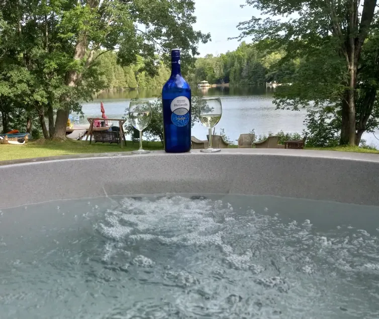 Child/Pet Friendly Cottage Loon Calls - Zoom Calls - Image 1