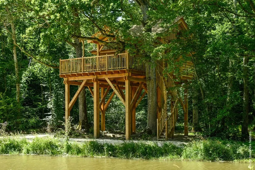 LUXURY CABIN WITH SPA IN TREES - Image 1