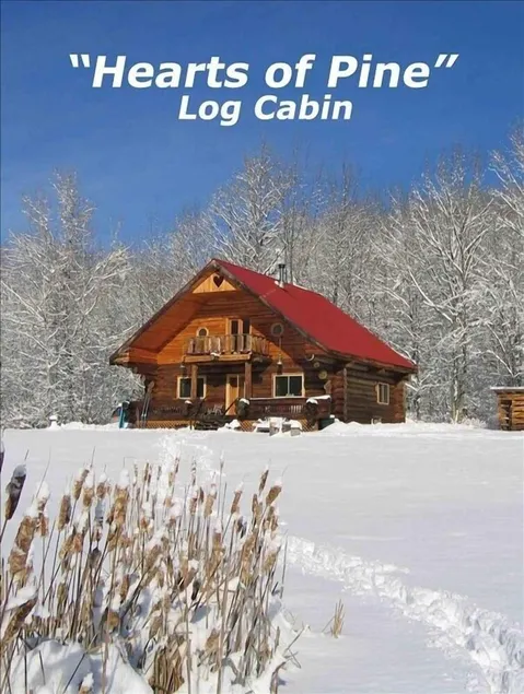 Rustik Log Home, Pond og Stream, i nærheden af ​​Ski Mtns, fantastiske priser - Image 1