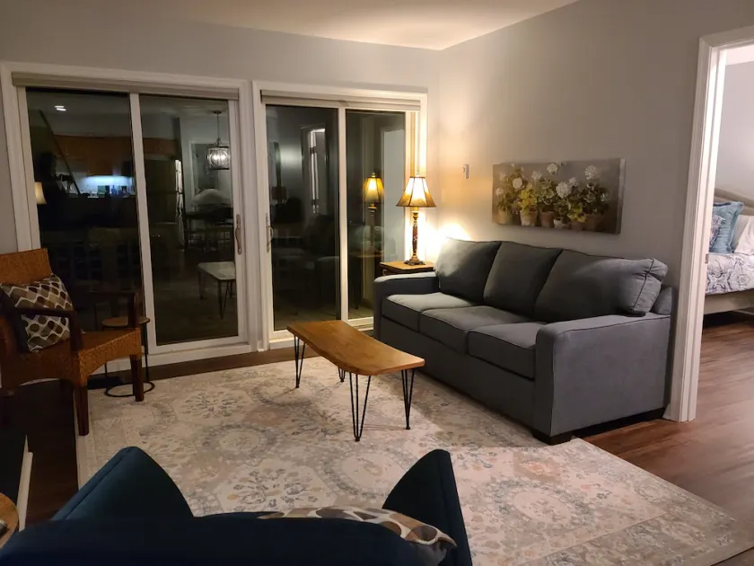 New construction! 1 BD/2 BA Top of Wintergreen mountain. Sleeps 4, pet-friendly - Image 1