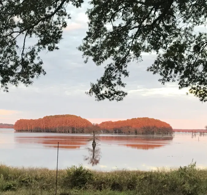 One-of-a-Kind Caddo Lake Retreat with Spectacular Waterfront Views - Image 1