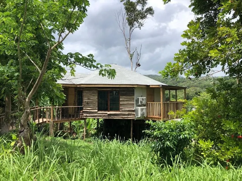 The Blue Mahoe Treehouse - Image 1