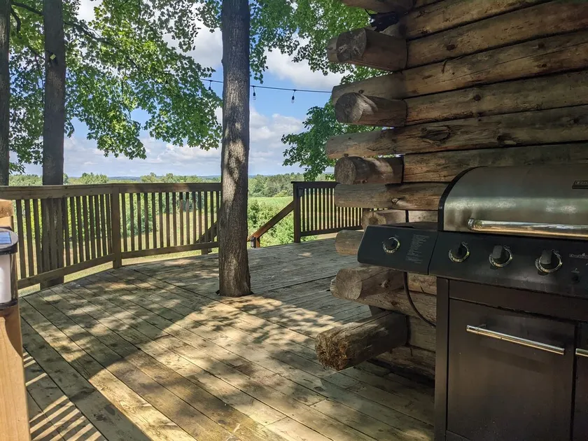 Rustic Retreat Log Cabin Nestled Among 65 Acres - Image 1