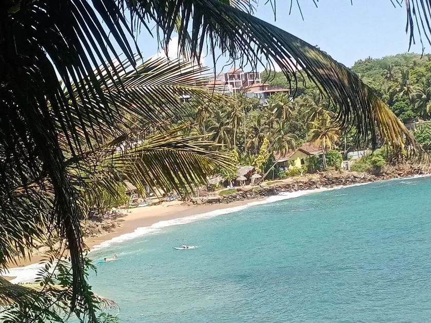 Surf Paradise Hotel  - Image 1