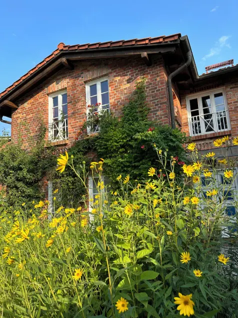 Exclusive, large apartment with 3 bedrooms, fireplace and terrace - Image 1