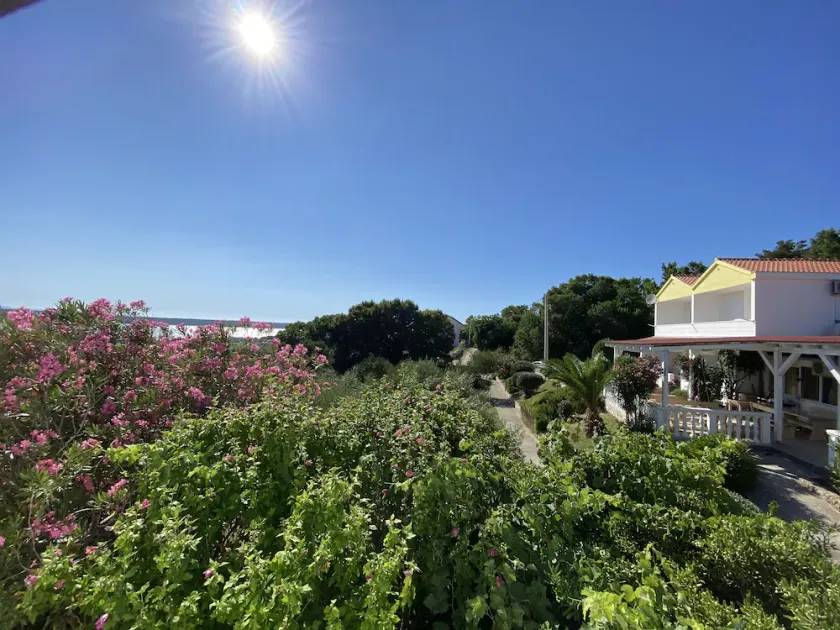 Living in the olive grove with a sea view - Image 1