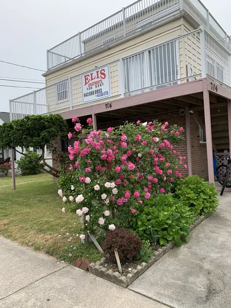 ELIS APARTMENT - Image 1