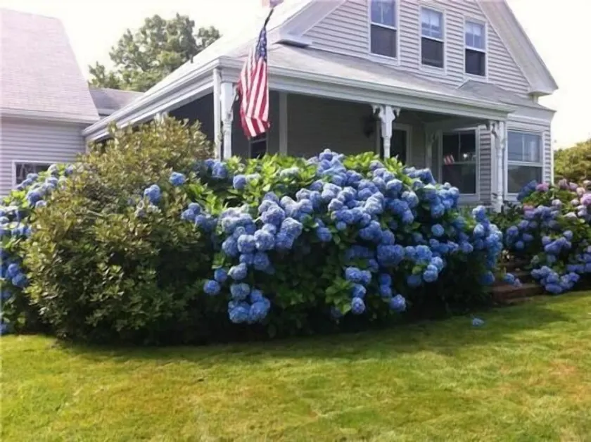 Beautiful Home In Chatham, MA. Private Pool. 2 Min Walk to Town, 8 to Beach! A/C - Image 1
