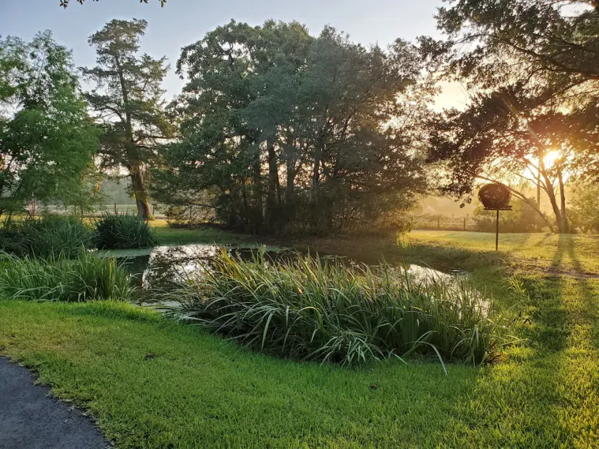 Quaint 4 Bedroom Farmhouse near Round Top, New Ulm - Image 1