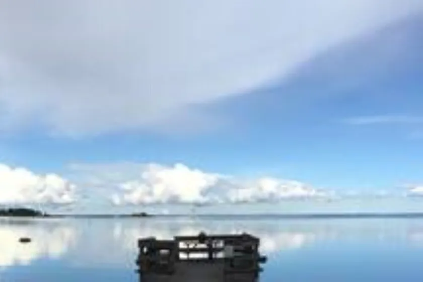 Cottage accogliente e moderno sulla spiaggia nel sud della Svezia - Image 1