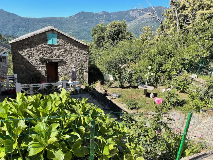 Pequeña casa en las montañas en el corazón del bosque de castaños en un pueblo - Image 1