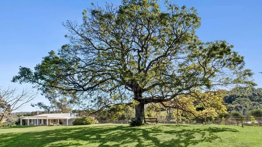 Peaceful pet friendly home on acres - Image 1