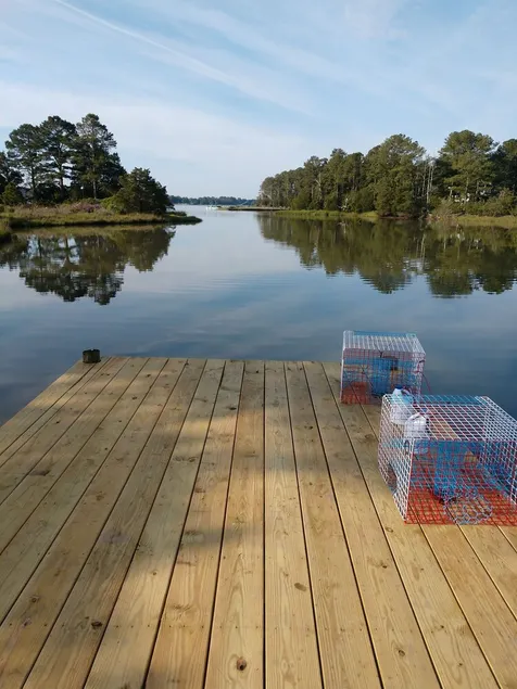 Waterfront Oasis with Crabs, Oysters and Mother Nature - Image 1
