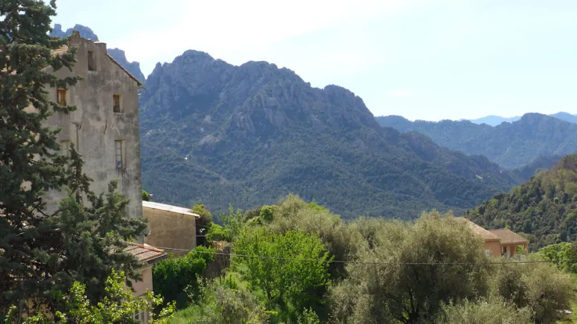 Vaste appartement dans demeure de caractère à Vico - Image 1