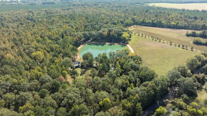 Woodland Gameday Getaway Near Tuscaloosa – Pond Views, Pavilion, Firepits & More - Image 1