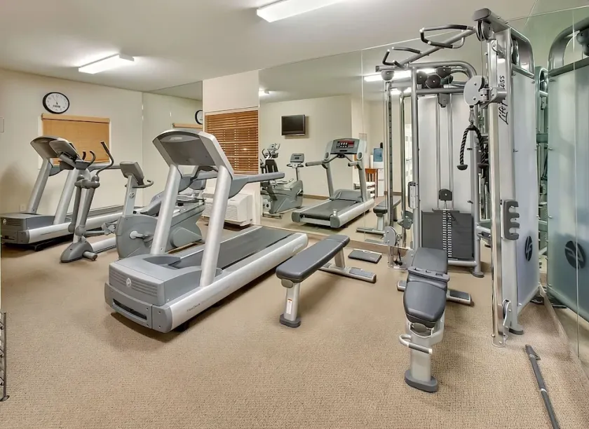 Prime Location! Free Parking, Pets Allowed, Near Strawbridge Lake Park - Image 1