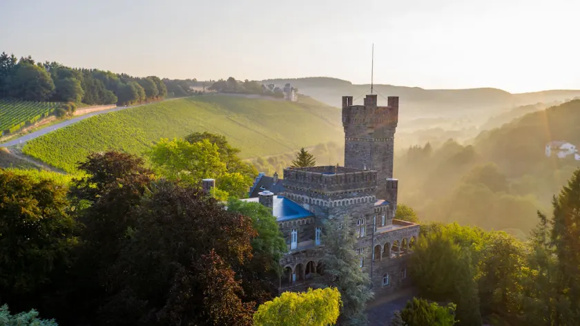 Saar Castle - cozy Mansion near vineyard - Image 1
