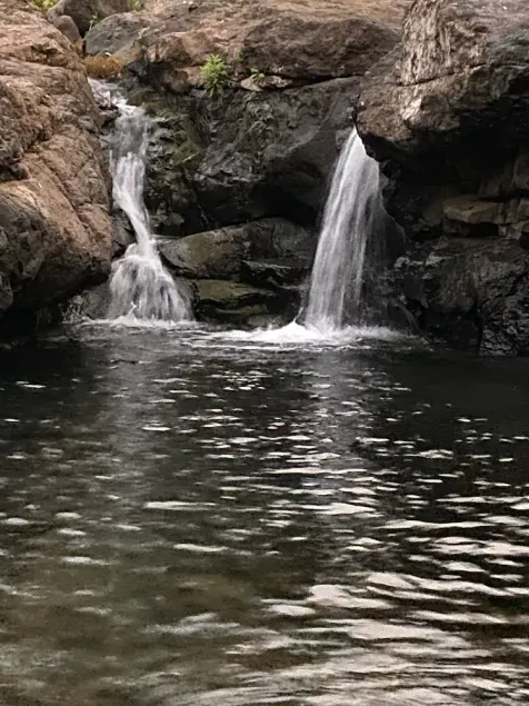 Connected with Nature  - Image 1