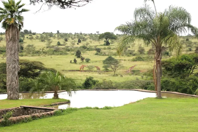 Nairobi National Park game viewing area - Image 1