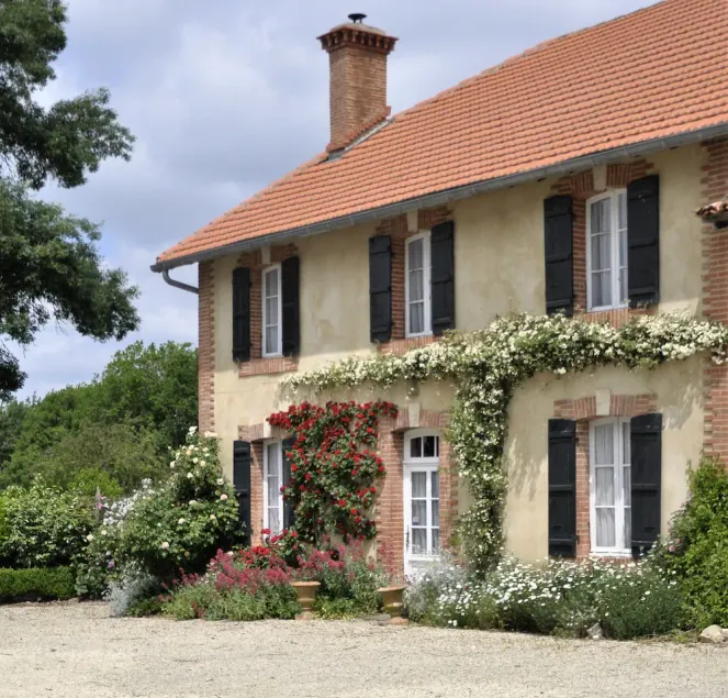 big family house - Image 1