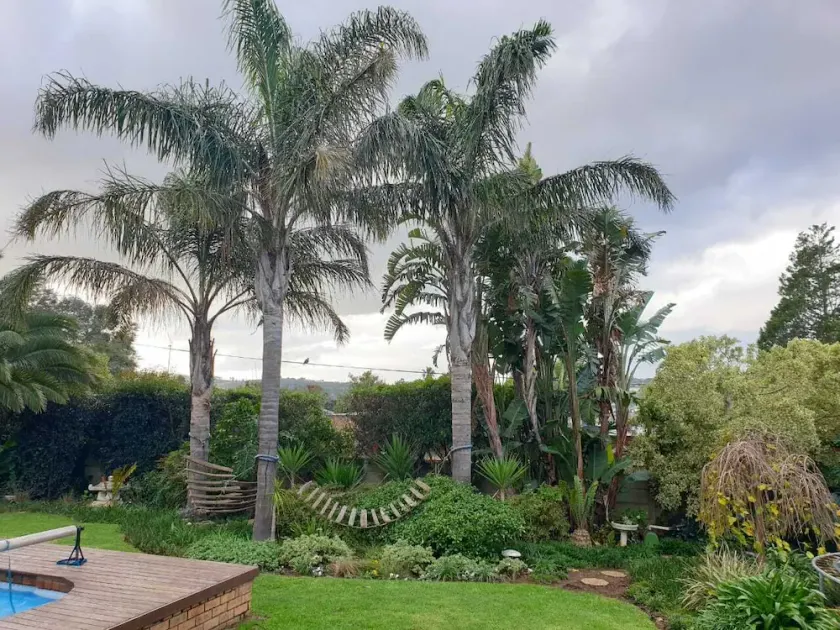 Sunny family home in the winelands - Image 1