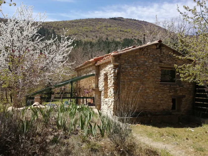 Mazet with private pool in the Ventoux - Image 1